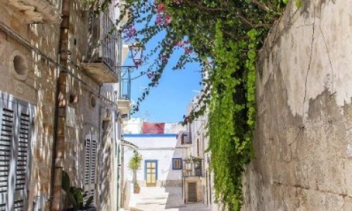 513300486_24168387102827107_3731848292167666594_n