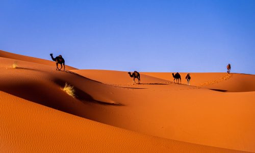 marocco deserto